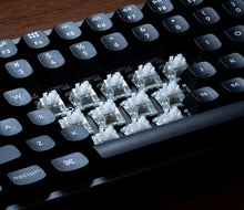 Load image into Gallery viewer, Snow Silent HE Linear Switches