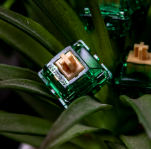 Load image into Gallery viewer, Gateron Beer Tactile Switches
