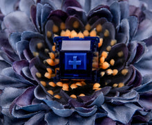 Load image into Gallery viewer, Blue Lotus Tactile Switches
