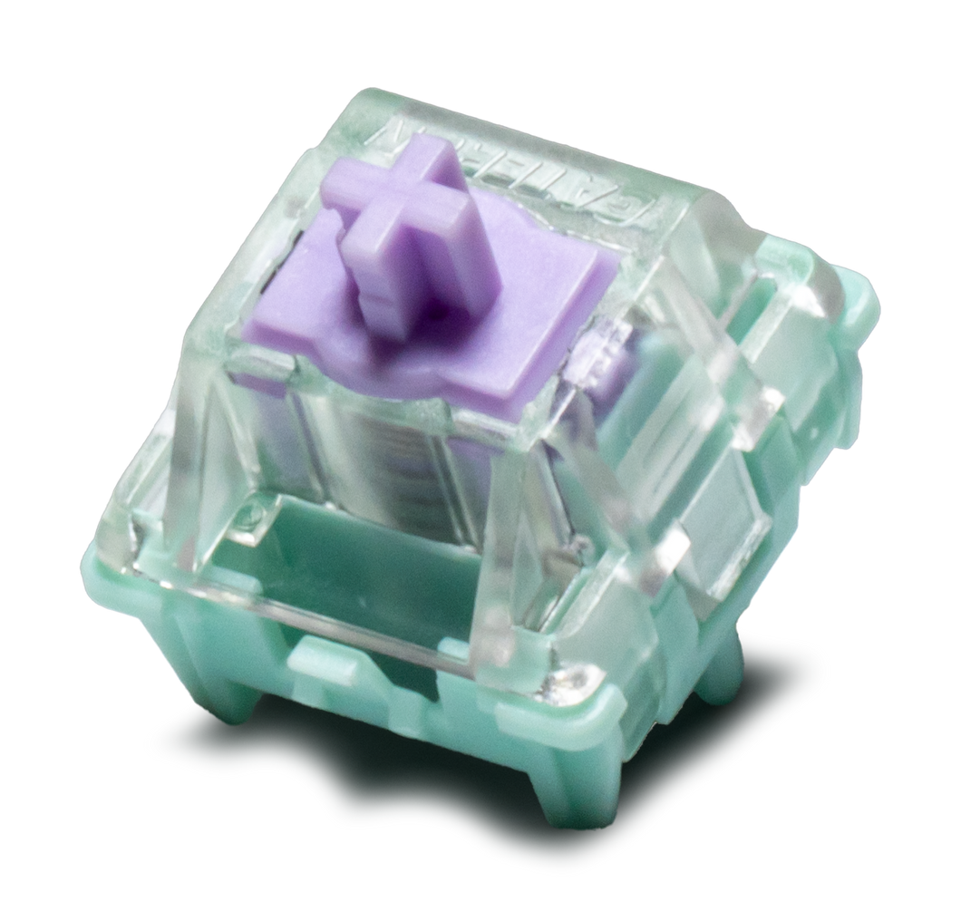 WS Dash HE Linear Switches